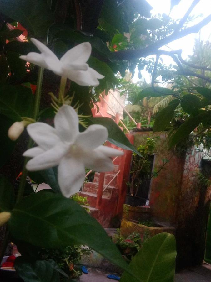 Pondok Diana Arta Jasri ภายนอก รูปภาพ
