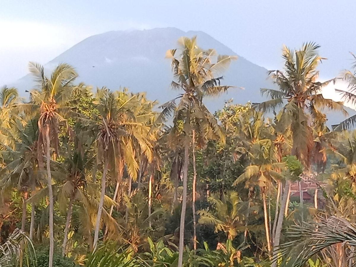 Pondok Diana Arta Jasri ภายนอก รูปภาพ