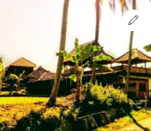 Pondok Diana Arta Jasri ภายนอก รูปภาพ