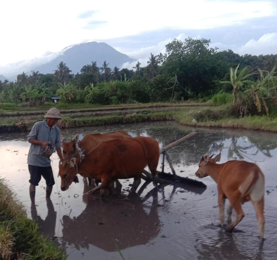 Pondok Diana Arta Jasri ห้อง รูปภาพ